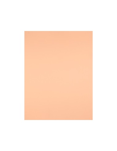 Cartulina liderpapel 50x65 cm 180g/m2 sepia