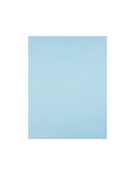Cartulina liderpapel 50x65 cm 180g/m2 azul