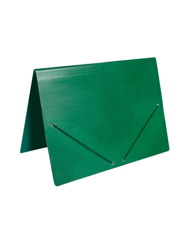 Carpeta planos liderpapel a2 carton gofrado n...