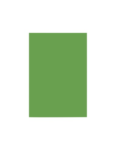 Cartulina liderpapel a4 180g/m2 verde abeto...