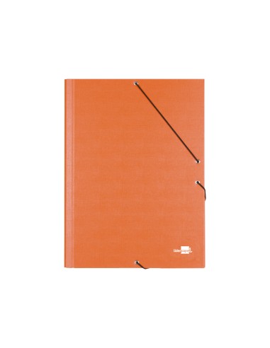 Carpeta clasificadora liderpapel 12...