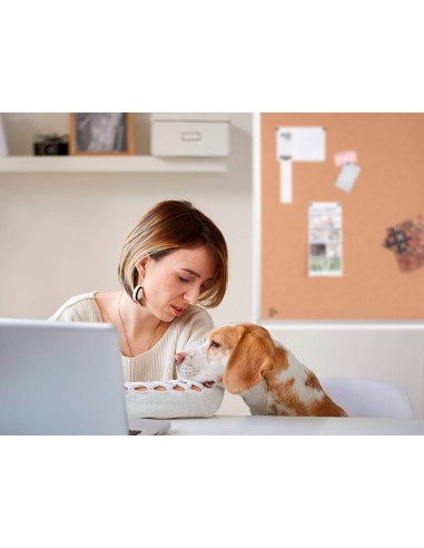 Pizarra corcho q-connect 60x45 cm marco aluminio