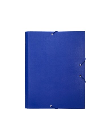 Carpeta clasificadora liderpapel 12...