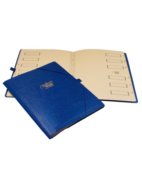 Carpeta clasificador carton compacto saro folio azul 12 departamentos