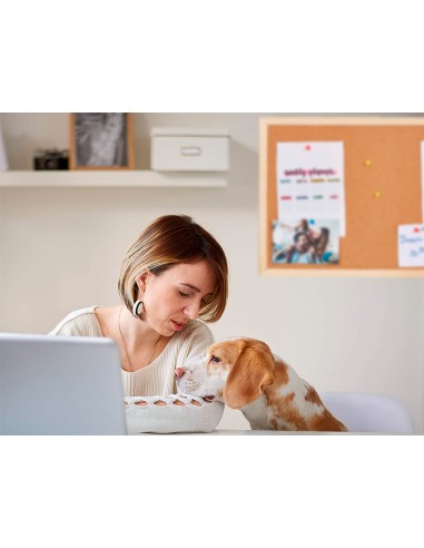 Pizarra corcho q-connect 90x60 cm marco de madera