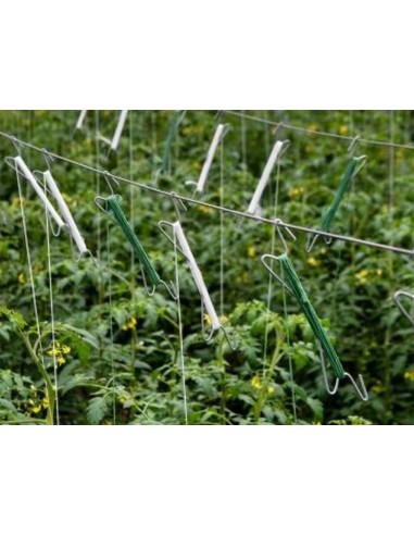 Cuerda rafia liderpapel color blanco rollo de...