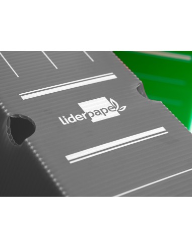 Caja archivo definitivo plastico liderpapel...