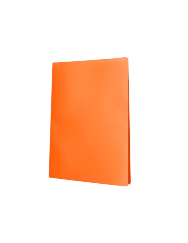 Carpeta liderpapel escaparate 20 fundas...