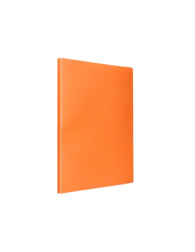 Carpeta liderpapel escaparate 20 fundas...