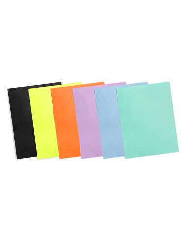 Carpeta liderpapel escaparate 10 fundas...