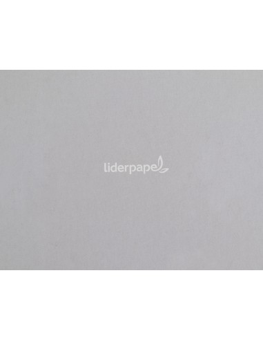 Cuaderno espiral liderpapel a5 micro witty tapa...