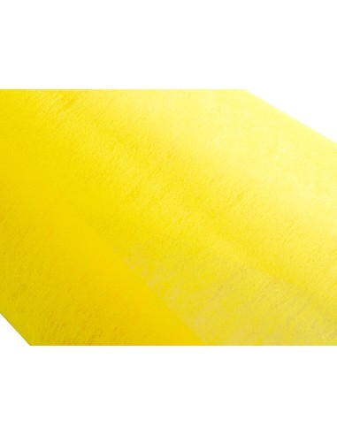 Tejido sin tejer liderpapel terileno 25 g/m2...
