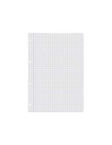 Recambio liderpapel a4 100 hojas 60gr cuadro...