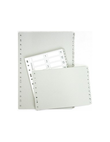 Separador alfabetico multifin 3002 plastico...