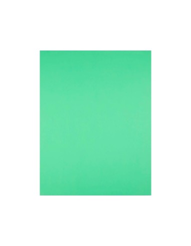 Cartulina liderpapel 50x65 cm 240g/m2 verde...