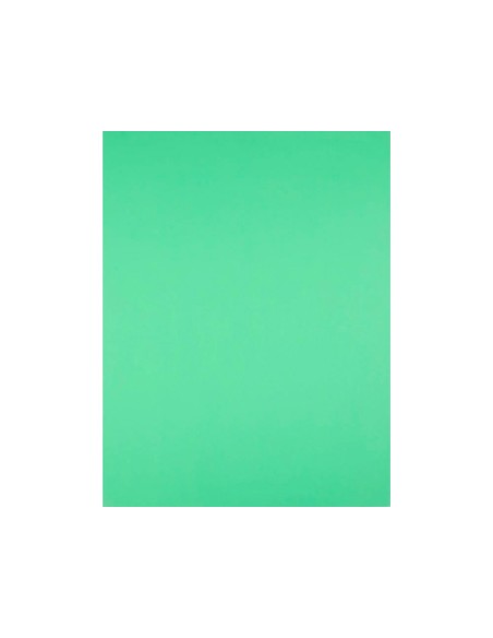 Cartulina liderpapel 50x65 cm 240g/m2 verde pistacho paquete de 25 hojas