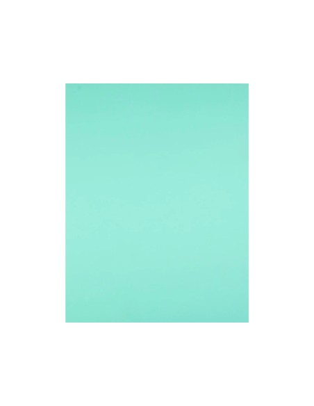 Cartulina liderpapel 50x65 cm 240g/m2 verde paquete de 25 hojas