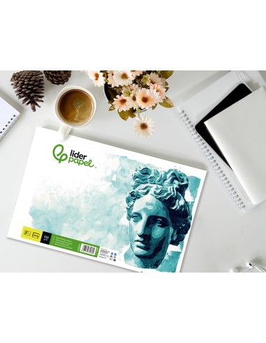 Bloc dibujo liderpapel artistico encolado...