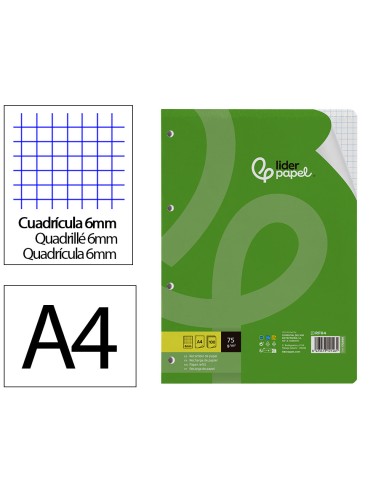 Recambio liderpapel a4 100 hojas 75gr cuadro...
