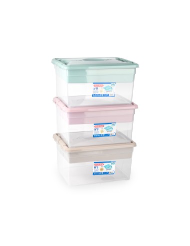 Caja organizadora plastico plasticforte n 9 con...