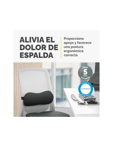 Cojin lumbar fellowes breyta acolchado color...