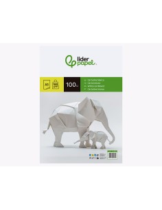 Cartulina liderpapel a3... 2