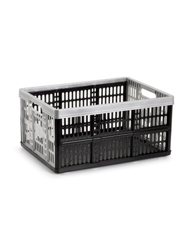Caja plegable plasticforte 32 litros plastico...
