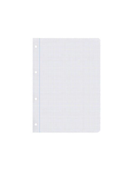 Recambio liderpapel a4 100 hojas 75gr cuadro 4mm con margen 4 taladros