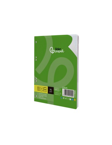 Recambio liderpapel a5 100 hojas 75gr cuadro...