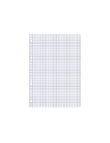 Recambio liderpapel a5 100 hojas 75gr cuadro...