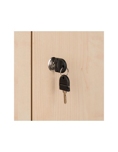 Armario rocada con dos puertas y un estante...