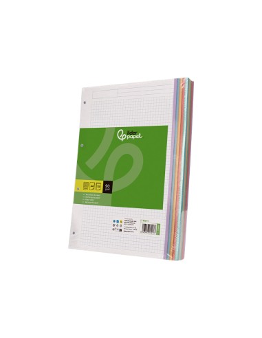 Recambio liderpapel a4 120 hojas 90gr cuadro 5...