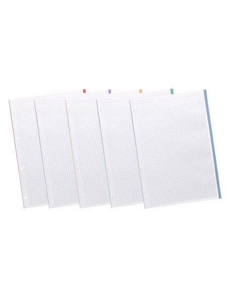 Recambio liderpapel a4 120 hojas 90gr cuadro 5 mm 4 taladros bandas de 5 colores pasteles