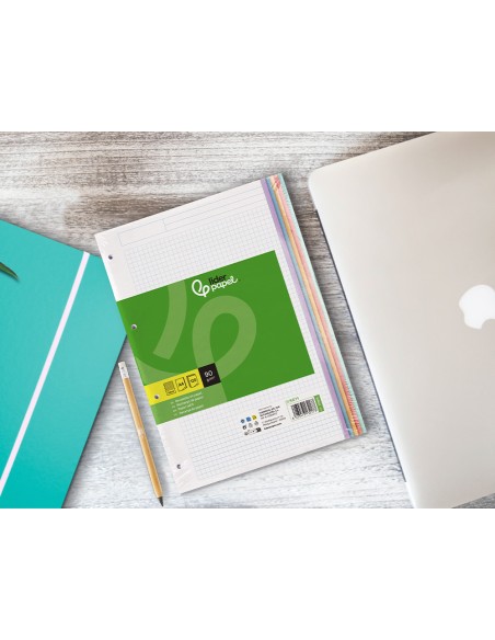 Recambio liderpapel a4 120 hojas 90gr cuadro 5 mm 4 taladros bandas de 5 colores pasteles