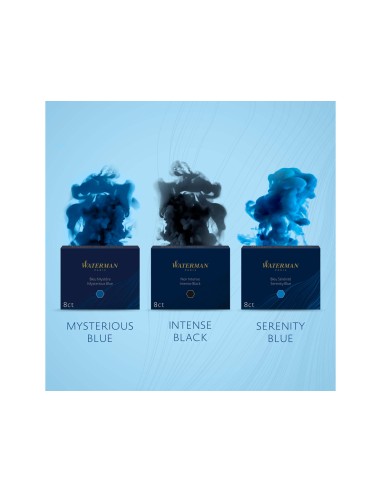 Tinta estilografica waterman standard...
