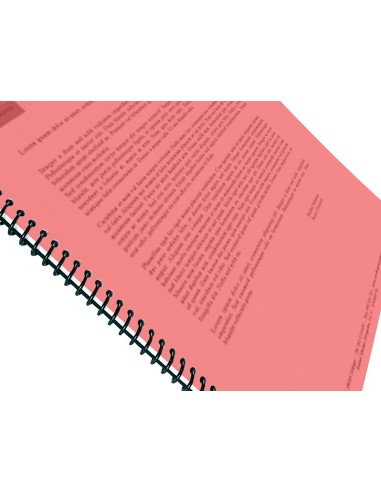 Tapa encuadernacion liderpapel polipropileno a4...