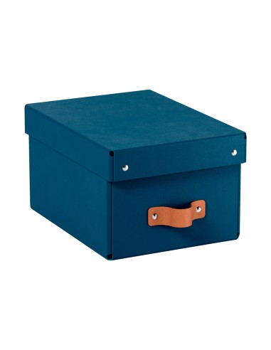 Caja de almacenaje leitz carton pequeña con asa...