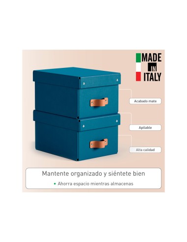 Caja de almacenaje leitz carton pequeña con asa...