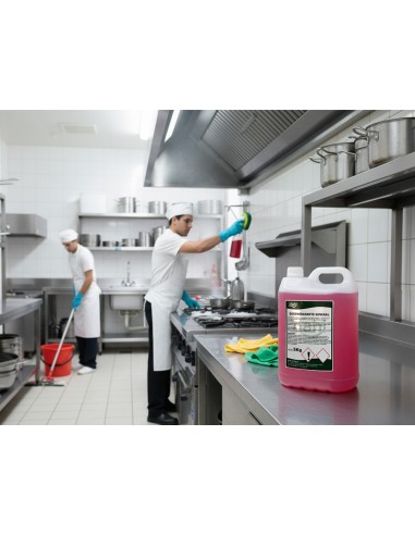 Limpiador desengrasante multiusos dahi garrafa...