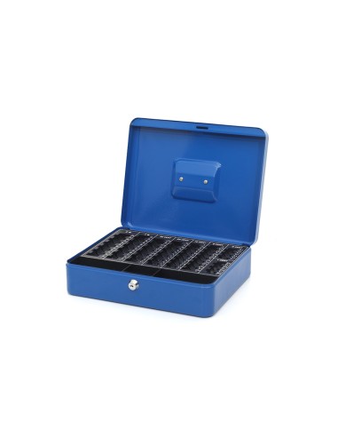 Caja caudales q-connect 12\" 300x240x90 mm azul...