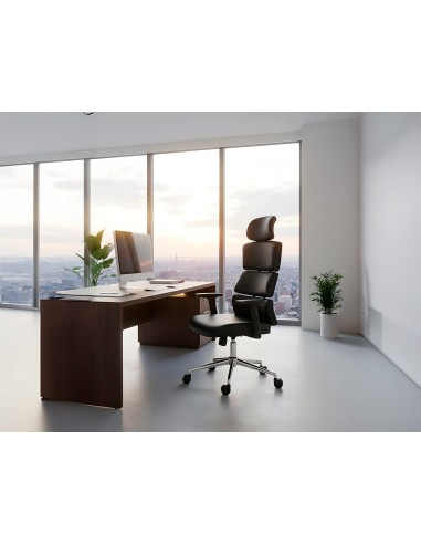 Silla q-connect direccion aurea similpiel alt...