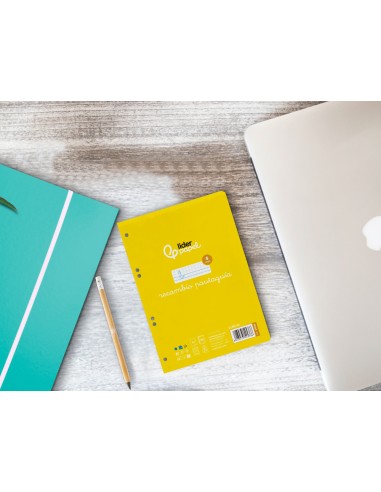 Recambio liderpapel a5 pautaguia 100 hojas 75gr...