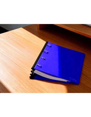 Carpeta liderpapel 4 anillas redondas 25 mm...