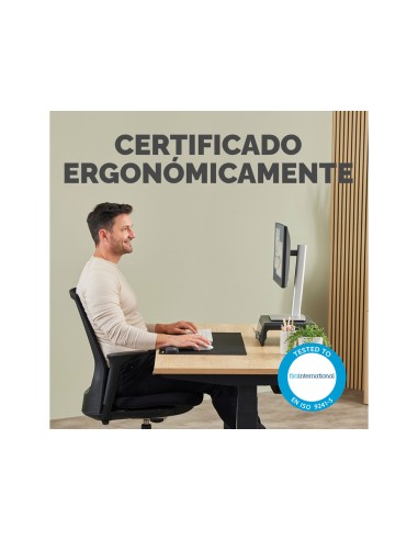 Reposamuñecas fellowes mini breyta negro...
