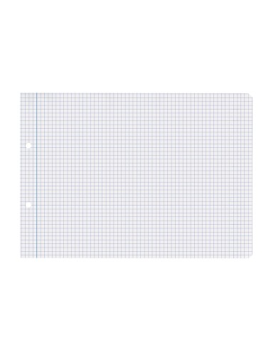 Recambio liderpapel din a5 apaisado 100 hojas...