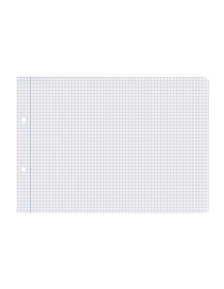 Recambio liderpapel din a5 apaisado 100 hojas 75 gr cuadro 4 mm 2 taladros con margen