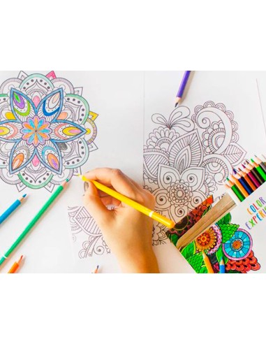 Set de dibujo alpino color experience 24...