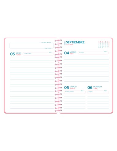 Agenda escolar liderpapel 26-27 espiral cottage...