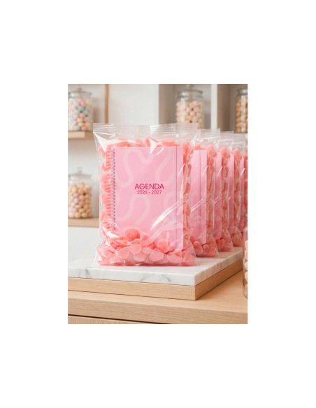 Agenda escolar liderpapel 26-27 espiral classic 2 dias pagina a5 bilingue 70g papel fsc rosa