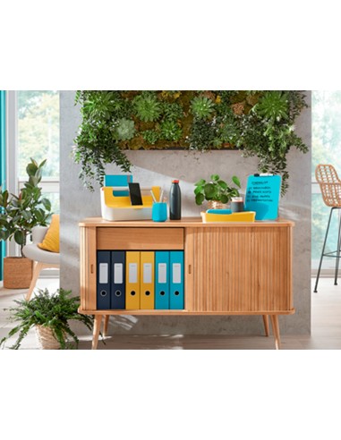 Bandeja sobremesa plastico leitz cosy set de 2...